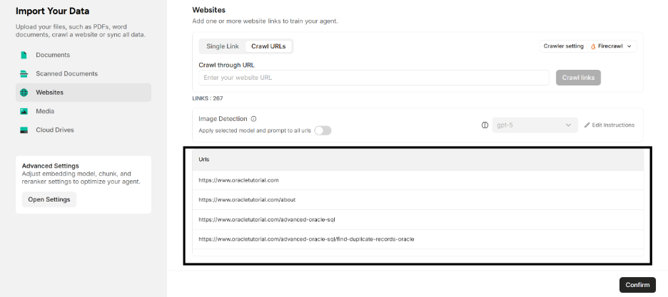 The Crawled URLs in the URLs List 