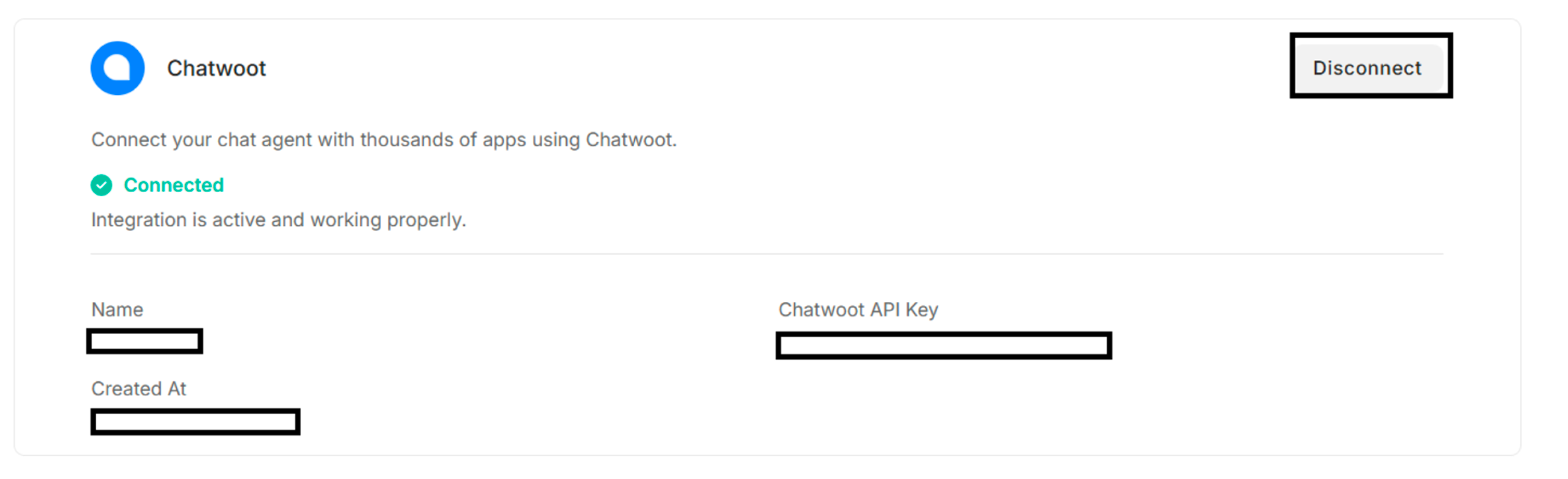 Connected Chatwoot after clicking forward arrow